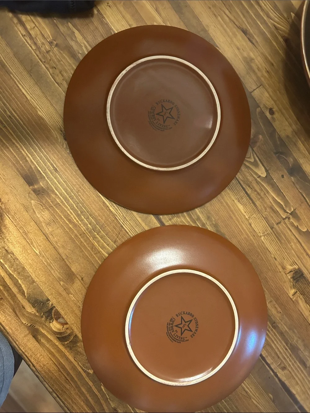 Cowboy Living Buckaroo Stoneware Salad Plates - Set of 2